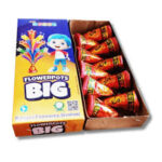 Flower Pots Big (10Pcs)